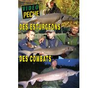Des esturgeons, des combats - Vidéo Pêche - Pêche de la carpe