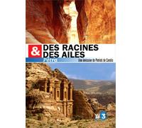 Des racines et des ailes : Petra