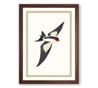 Descending Bird Vintage Framed Wall Art Print A3 (42×29.7cm) Walnut, Wall Decor for Living Room, Bedroom, Office & Home, Ready to Hang, Art Gift