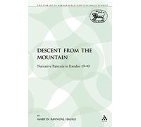 Descent from the Mountain: Narrative Patterns in Exodus 19-40: 323 (The Library of Hebrew Bible/Old Testament Studies)