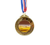Desert Along the Way to the Silk Road Map Gold Award Winner Medal First Place Ribbon