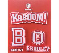 Desert Cactus Bradley University Acrylic Magnet 3 Pack BU Braves Decorative Design Officially Licensed (Magnet Set A)