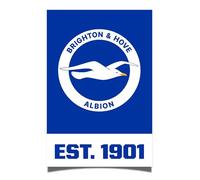 Desert Cactus Brighton & Hove Albion Poster BHAFC Seagulls Football Club Soccer 11 inches by 17 inches Decoration Room Official Fan Gear (11x17) (Design A, Paper)