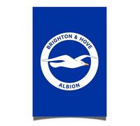 Desert Cactus Brighton & Hove Albion Poster Football Soccer 11 x 17 Inch Room Office Décor Decoration Official Fan Gear (11x17 inch,Design B, Paper)