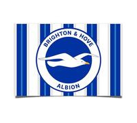 Desert Cactus Brighton & Hove Albion Poster Football Soccer 11 x 17 Inch Room Office Décor Decoration Official Fan Gear (11x17 inch,Design C, Paper)