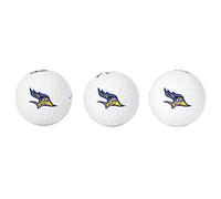 Desert Cactus California State University Bakersfield Golf Balls 3 Pack Full Color Golf Ball (Design A)