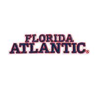 Desert Cactus Florida Atlantic University Patch - Embroidered Iron On/Sew On Applique for Blazers, Jackets, Backpacks, Bags & Hats - FAU Owls (Patch B)