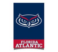 Desert Cactus Florida Atlantic University Poster FAU Owls 11 x 17 Inch Room Office Décor Decoration Official Fan Gear (11x17 inch,Version 1A)