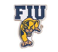 Desert Cactus Florida International University Pin Panthers FIU Lapel Pins University College Logo Enamel Made of Metal (Pin A), Bronze, no gemstone