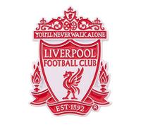 Desert Cactus Liverpool FC Lapel Pins Football Soccer Logo Enamel Made of Metal, Bronze, no gemstone