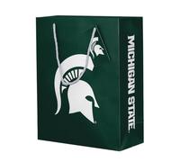 Desert Cactus Michigan State Spartans Gift Bag MSU Party Bag (A)