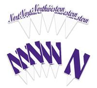 Desert Cactus Northwestern University Cupcake Topper and Cake Toppers Set - NU Wildcats 25 Pcs Party Supplies, Decorations and Favors