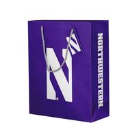 Desert Cactus Northwestern University Wildcats Gift Bag NU Party Bag (A) | Officially Licensed 10x12.5x4.25 inch with Tag Party Decorations Supplies Game Day Tailgate Graduation Bed Party
