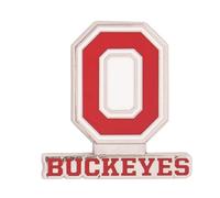 Desert Cactus Ohio State University Lapel Pin OSU Buckeyes Made of Metal for Formal Wear, Bag and Hat Jewelry, and Tie Tack, Standard size, Metal, no gemstone