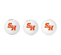 Desert Cactus Sam Houston State University Golf Balls 3 Pack Full Color Golf Ball (Design A)