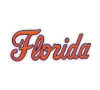 Desert Cactus University of Florida Patch - Embroidered Iron On/Sew On Applique for Blazers, Jackets, Backpacks, Bags & Hats - UF Gators (Patch J)