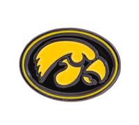 Desert Cactus University of Iowa Hawkeyes Lapel Pins Logo Enamel Made of Metal (Pin A)