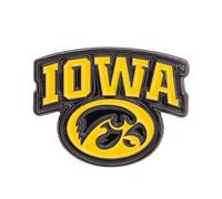 Desert Cactus University of Iowa Hawkeyes Lapel Pins Logo Enamel Made of Metal (Pin C)