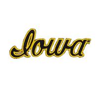 Desert Cactus University of Iowa Patch - Embroidered Iron On/Sew On Applique for Blazers, Jackets, Backpacks, Bags, Hats & Tactical Gear - Hawkeyes (Patch - Design Vintage B)