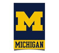 Desert Cactus University of Michigan Poster UM Wolverines 11 x 17 inch Room Office Décor Decoration Official Fan Gear (Version 1A)