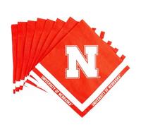 Desert Cactus University of Nebraska Disposable Napkins Huskers GBR NU 20 Count 2 Ply 13 inch Square Party Celebration (Design A)