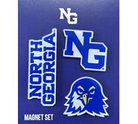 Desert Cactus University of North Georgia Acrylic Magnet 3 Pack UNG Nighthawks Decorative Design Officially Licensed (Magnet Set A)