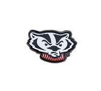 Desert Cactus University of Wisconsin Badgers Lapel Pin Logo Enamel Made of Metal (Design D), Bronze, no gemstone