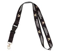 Desert Cactus Vanderbilt University Lanyard Keychain Car Keys College ID Badge Holder Detachable Breakaway Snap Buckle (Lanyard 2 New Branding), Multicolored, One size
