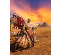 Desert Camel Pyramid Puzzles 200 for Adults,jigsaw puzzles for adults 200 Pieces Puzzle Home Challenging Educational Games Home Decoration puzzle Gifts