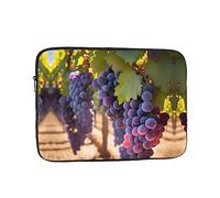 Desert Grapes Laptop Sleeve Case 13 Inch Suitable For Notebook Computer Tablet Traveling Carrying Simple Case