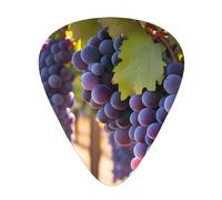 Desert Grapes Printed guitar picks for acoustic, electric, and band players, 12 pieces in 3 different thicknesses