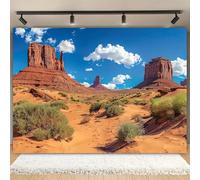 Desert landscape background Photography American West Monument Valley Photo background National Park art photo background 350x240CM