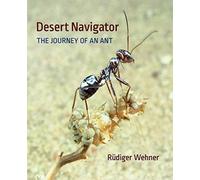 Desert Navigator : The Journey of an Ant