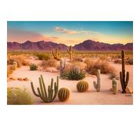 Desert Reptile Habitat Background Arid Landscape of Hot Sahara Desert Terrarium Background Desert Cacti and Sand with Dunes Aquarium Background Natural Hot Desert Fish Tank Background Vinyl 72x16in