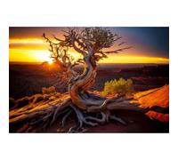 Desert Reptile Habitat Background Dead Tree Sunset Desert Terrarium Background Spectacular Sunset Desert Dead Tree Terrarium Backdrop Tranquil Desert Nature Landscape Aquarium Backdrop 36x18in
