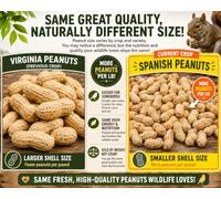 Desert Valley Supply Premium Quality Raw Peanuts in Shell - 2 Pounds - All-Natural Food for Squirrels, Deer, Birds, and Other Wildlife Animals - Grown in The USA for Healthy Nutrition