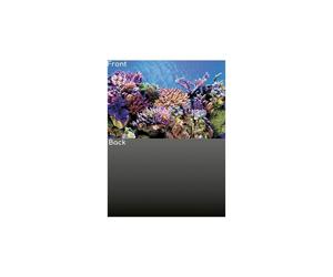 (Design A - Reef/Grey, Size 1 - 60 x 30cm) SuperFish Deco Poster Aquarium Background