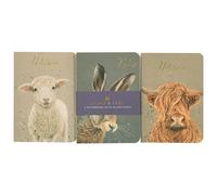 Design By Violet Animals A6 Notebooks - Pack of 3 Ruled Mini Notebooks for Back to School, Animal Lovers, Highland Cow, Lamb and Hare