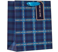 Design by Violet Blue ‘For A Wonderful Dad’ Gift Bag with Gift Tag for Father’s Day, Birthday, Occasion, For Dad, Gift Wrap, Best Dad Ever, Tartan Design - Medium Size