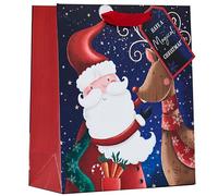 Design By Violet Have a Magical Christmas Santa & Rudolph Gift Bag with Red Handle and Gift Tag Xmas Gift Wrap Medium