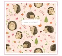 Design By Violet Hetty Hedgehog New Baby Greeting Card - Cute Pink Woodland-Themed Baby Girl Card with Hedgehogs and Flowers - Newborn Congratulations Card - Blank Inside
