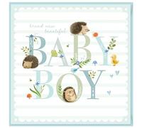 Design By Violet Hugo Hedgehog Baby Boy Greeting Card - Blue Newborn Card with Adorable Woodland Theme - Cute Baby-Shower or Congratulations Card - Blank Inside for Personal Message