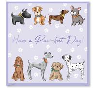 Design By Violet Pawsome Pals Have a Paw-Fect Day Greeting Card For Her Him Birthday Best Wishes Present Blank Inside With Purple Envelope Stylish Dog Themed Design 15cm x 15cm