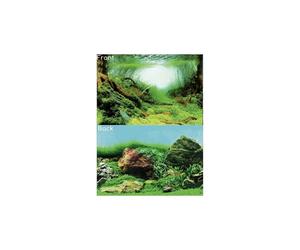 (Design C - Planted, Size 2 - 60 x 49cm) SuperFish Deco Poster Aquarium Background