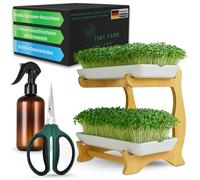 Design Cress Propagation Set 2 Levels Made of Ceramic - 7-Piece Sprout Propagation Set with Wooden Stand for Microgreens, Includes Scissors & Spray Bottle - Ceramic Cress Seed Trays and Stainless