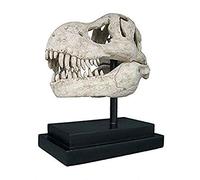 Design Toscano T-Rex Dinosaur Skull Fossil Statue on Museum Mount