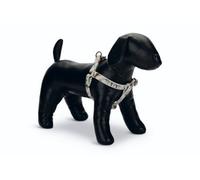 Designed By Lotte Harness Oribo Beige 25mm X60-100Cm