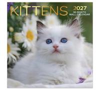 Designer Greetings Kittens Wall Calendar 2026-2027, 12 x 12 In
