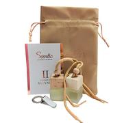 Designer Inspired Car Air Freshener Fragrance Diffuser Perfume Oil Scent Bottle x 8ml Pack of 2 with Vent Clip (inspired by Savage Fragrance)