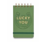 DesignWorks Ink 3.5'' x 5.75'' Vintage Sass Wire-Bound Spiral Pocket Notepad Memo Book with 80 Lined Sheets, Green Lucky You